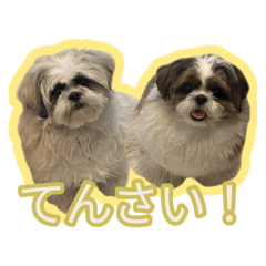 manon_20260124204845