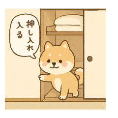 UCHIUCHI_20260124181752