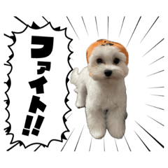 kaede_20260124201131