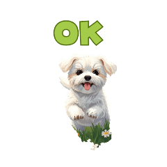 berna 32_20260124201404