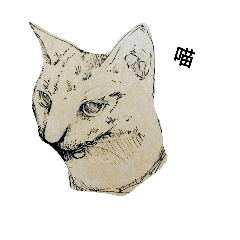 Lin Cat.
