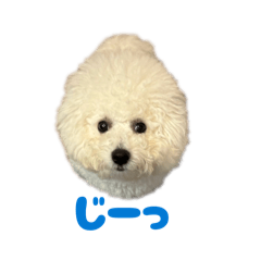 Puutadesu