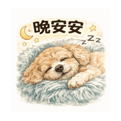 奶油貴賓-茶茶日常1