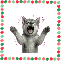 moving Expressive Gray Shiba Inu2