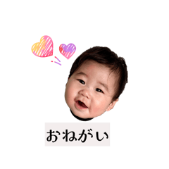 SHINCHAN_20260124192152