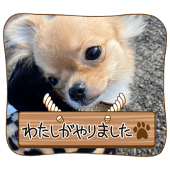 desaki_20260124211326