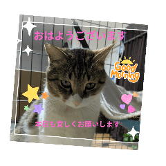 HANATAN_20260124220058