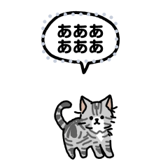 小さい子猫アメショ(メッセージ)
