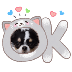 matsunaga_20260124142830