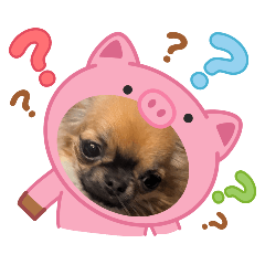 matsunaga_20260124143058