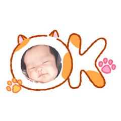 yoisyo_20260124210534