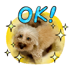 tingtingwang_20260124093738