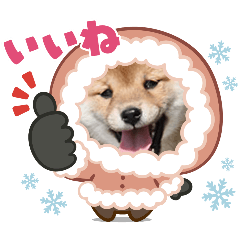runa_20260124151428