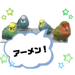 aichan_20260124211728