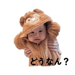 tkita_20260124154600