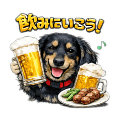 Metis_20260124155031