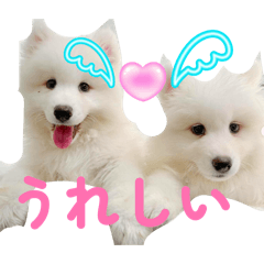 reireiREINA_20260124214606