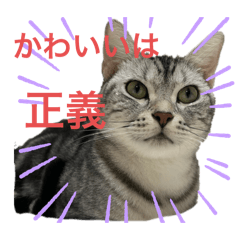 my nayuta