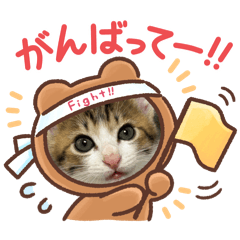 Yoshie_20260124223522