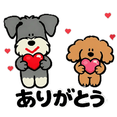 (c)nene_20260124224325