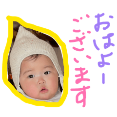 pepengapen_20260124162501