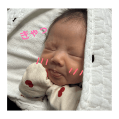 Qtaro_20260124163528