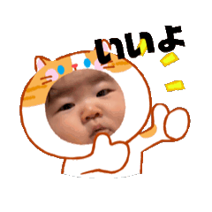 ZAWAWA_20260124221725