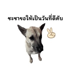 Aungaing_20260124142811