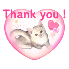 TEA time (テアタイム) ①