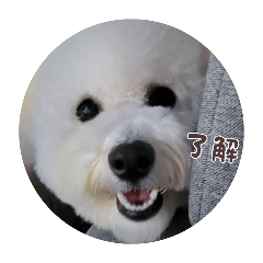 otokun_20260125004414