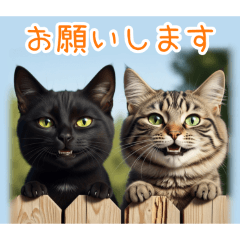 [お願いします専用]顔でか猫２