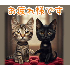 [お疲れ様です専用]顔でか猫２