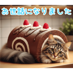 [お世話になりました専用]猫ロール