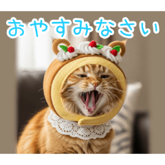 [おやすみなさい専用]猫ロール