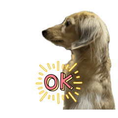 Renren_20260124185321