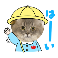 Bibaly1214_20260125023653