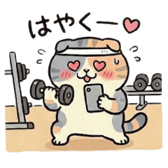 higeKIM_20260125022103