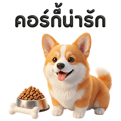 คอร์กี้น่ารัก 01