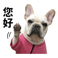 Lisa的工作與生活