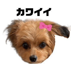 Fun Kurumi-chan stamps