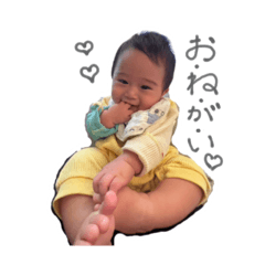 Yumeume_20260124203000
