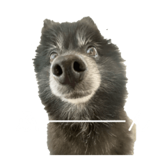 bluei_20260125092120