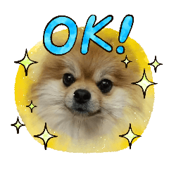 mokomoko_20260125105447