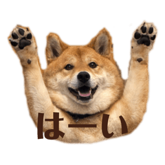 Donna_20260125061330