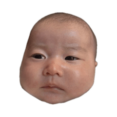 Pirokichi nisan_20260125122619