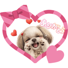 megumi_20260125003428