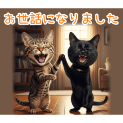 [お世話になりました専用]顔でか猫２