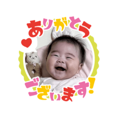 momo_20260125034709