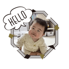 momo_20260125032538