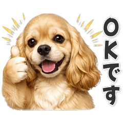 【敬語】アメリカンコッカースパニエル